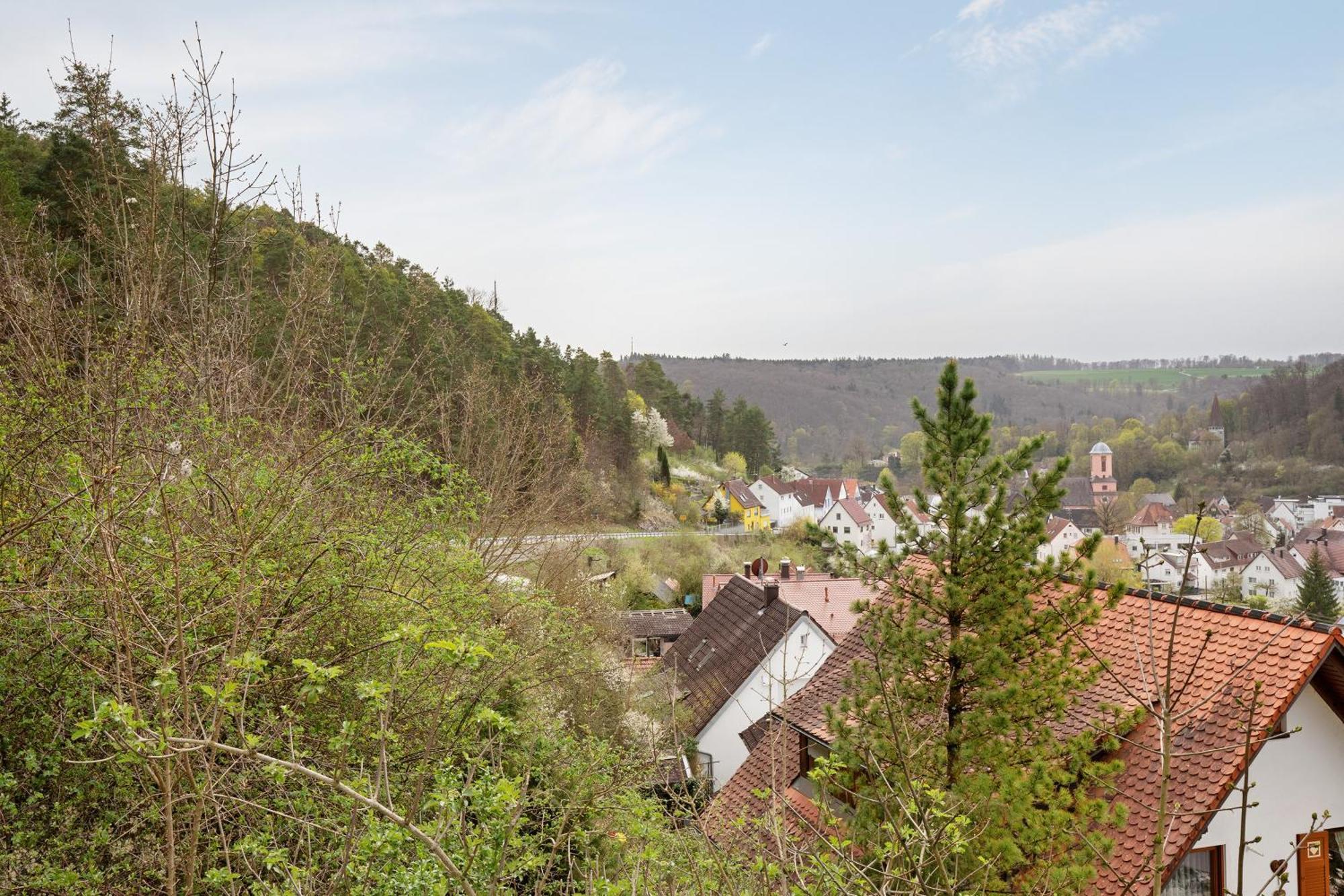 Lautertal Loft Apartment Blaustein Luaran gambar
